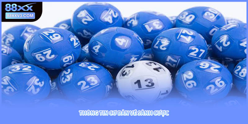 Thông tin cơ bản về sảnh cược